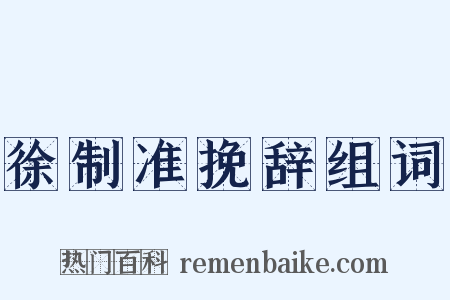 徐制准挽辞组词是什么意思的图片
